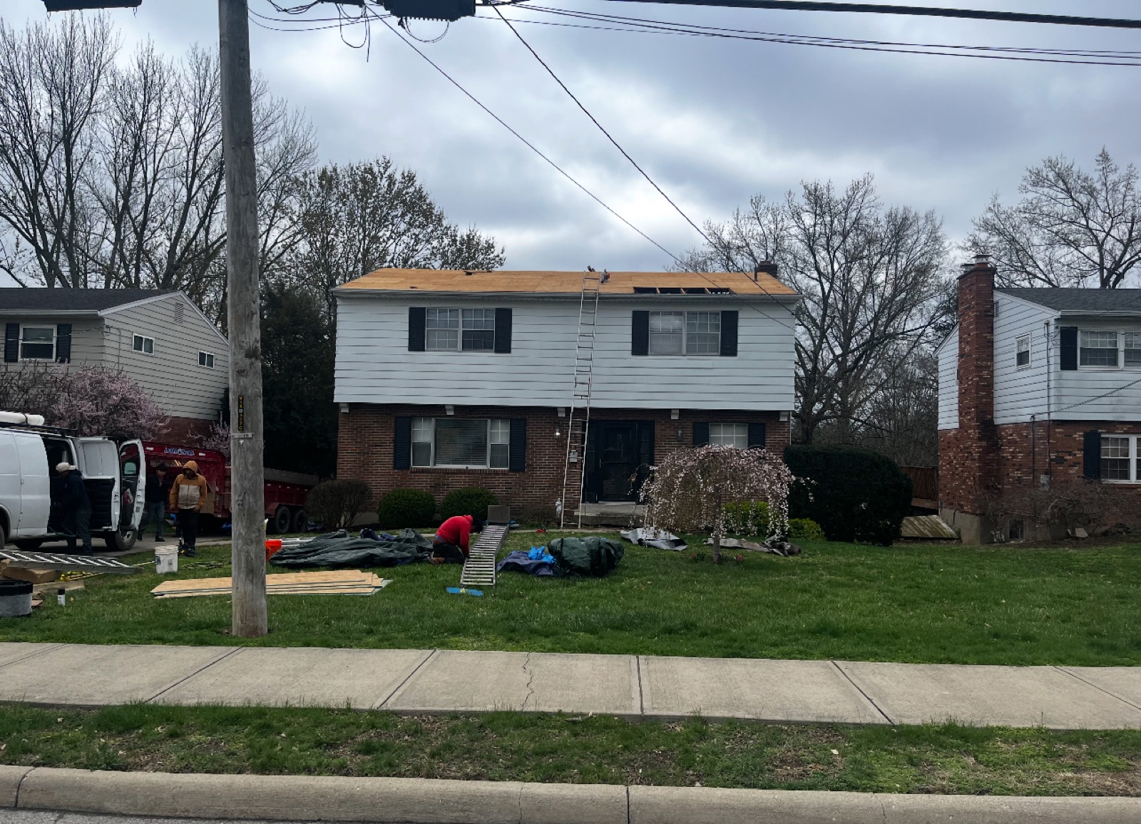 Residential Shingle Roof Replacement detailed photo 3